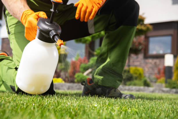 Best Rodent Control Near Me  in Crandall, TX