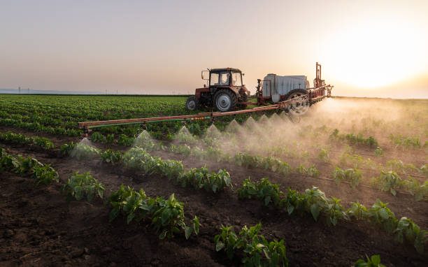 Professional Pest Control in Crandall, TX