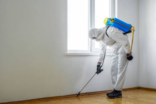 Best Pest Control for Restaurants  in Crandall, TX