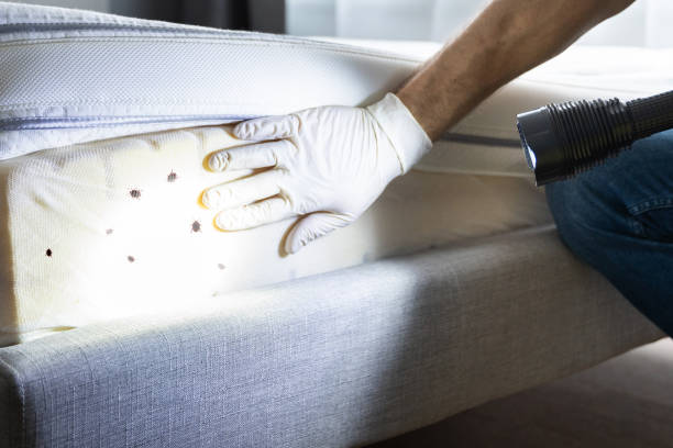 Best Pest Control Near Me in Crandall, TX