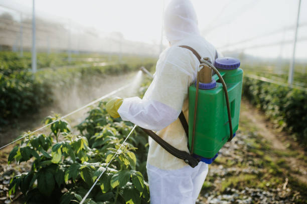 Best Emergency Pest Control  in Crandall, TX